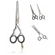 Jaguar Hairdressing Scissor Ergo Pre Style profesionālas šķēres matu griešanai