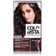 L'oreal Colorista Permanent Gel matu krāsa