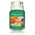 Yankee Candle Alfresco Afternoon aromātiska svece