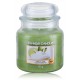 Yankee Candle Vanilla Lime aromātiska svece