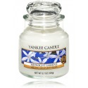 Yankee Candle Midnight Jasmine aromātiska svece