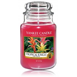 Yankee Candle Tropical Jungle aromātiska svece