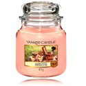 Yankee Candle Garden Picnic aromātiska svece