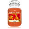 Yankee Candle Spiced Orange aromātiska svece