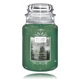 Yankee Candle Evergreen Mist ароматическая свеча