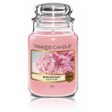 Yankee Candle Blush Bouquet aromātiska svece