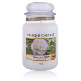 Yankee Candle Camellia Blossom aromātiska svece