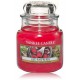 Yankee Candle Red Raspberry aromātiska svece