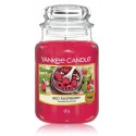 Yankee Candle Red Raspberry aromātiska svece