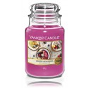 Yankee Candle Exotic Acai Bowl ароматическая свеча