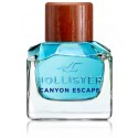 Hollister Canyon Escape EDP smaržas vīriešiem