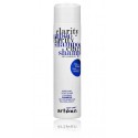 Artego Easy Care T Clarity Shampoo pretblaugznu matu šampūns