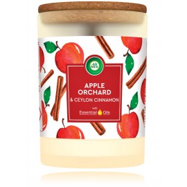 Air Wick Essential Oils Apple Orchard & Ceylon Cinnamon ароматическая свеча