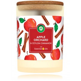 Air Wick Essential Oils Apple Orchard & Ceylon Cinnamon aromātiska svece