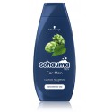 Schwarzkopf Schauma For Men Shampoo šampūns vīriešiem