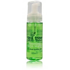 Xpel Tea Tree Foaming sejas mazgāšanas putas ar tējas koka eļļu 200 ml.