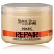 Stapiz Sleek Line Repair восстановительная маска 1000 мл.