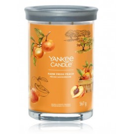 Yankee Candle Signature Tumbler Collection Farm Fresh Peach aromātiska svece