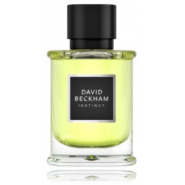 David Beckham Instinct EDP kvepalai vyrams