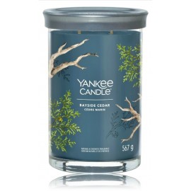 Yankee Candle Signature Tumbler Bayside Cedar aromātiska svece