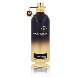 Montale Spicy Aoud EDP духи для женщин и мужчин