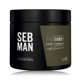 Sebastian Professional SEB MAN The Dandy Shiny matu pomāde vīriešiem 75 ml.