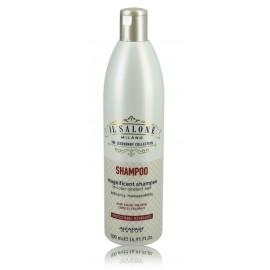 AlfaParf Salone Eternal šampūns krāsotiem matiem